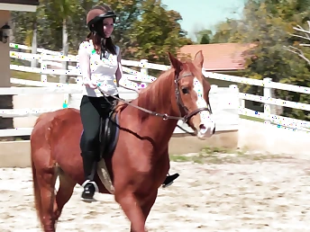 Sinn Sage and her stunning lesbian partner rub down each other's bodies on a inelegant pony